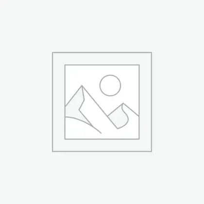 عنصر نائب Placeholder